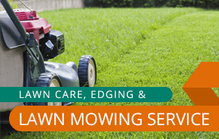Sydney Lawn Mowing